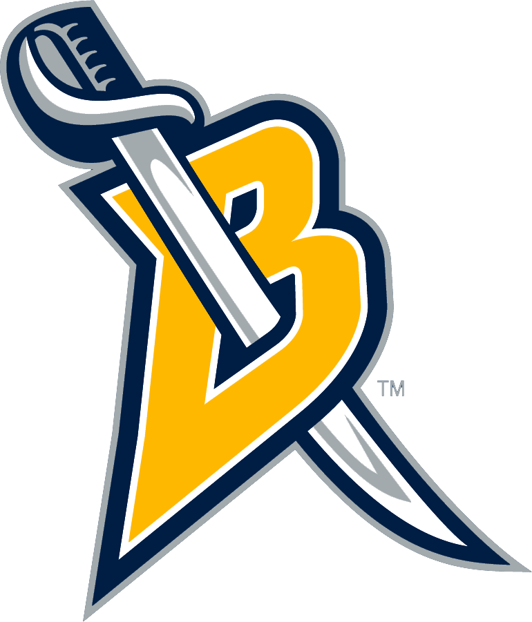 Buffalo Sabres 2006-2012 Alternate Logo t shirts iron on transfers
